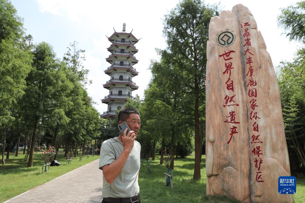 1597发短信送59彩金